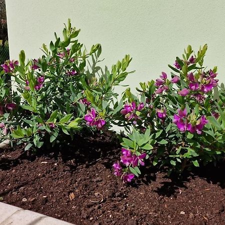 Apartmán Casa Myrtifolia Todi Exteriér fotografie